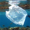 ممنوعیت کیسه های پلاستیکی در کالیفرنیا