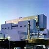 تعطیلی نیروگاه هسته ای انگلیس با عروس دریایی